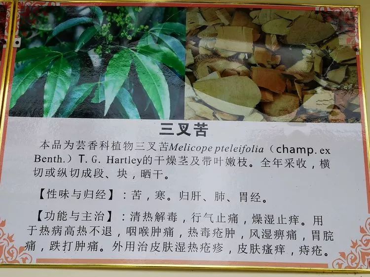 木瓜的种植方法