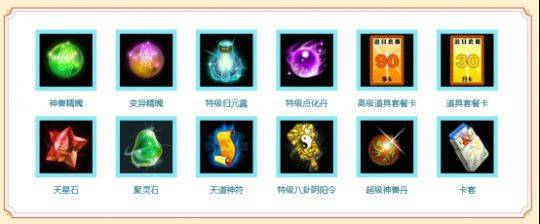 问道新区罩子熊多少钱