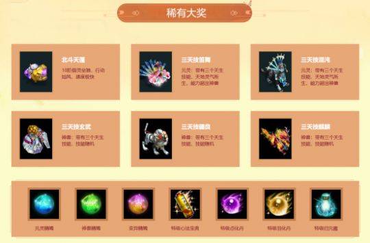问道新区罩子熊多少钱