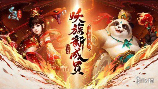 问道新区罩子熊多少钱
