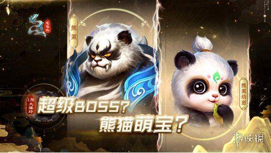 问道新区罩子熊多少钱