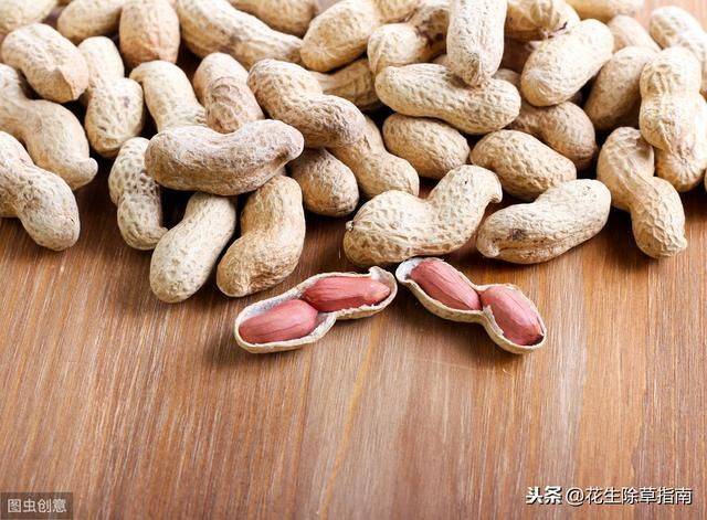 中国花生种植成本与收益对比分析