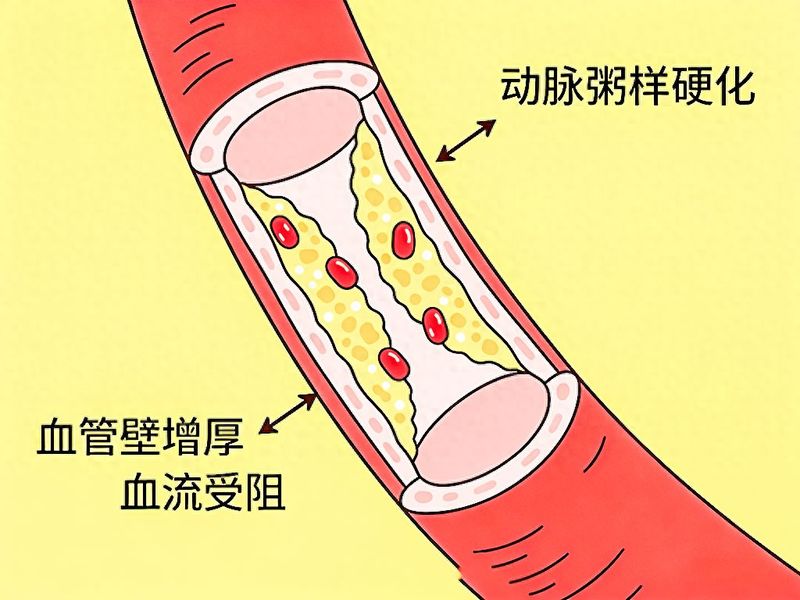 秋水仙素作用机理