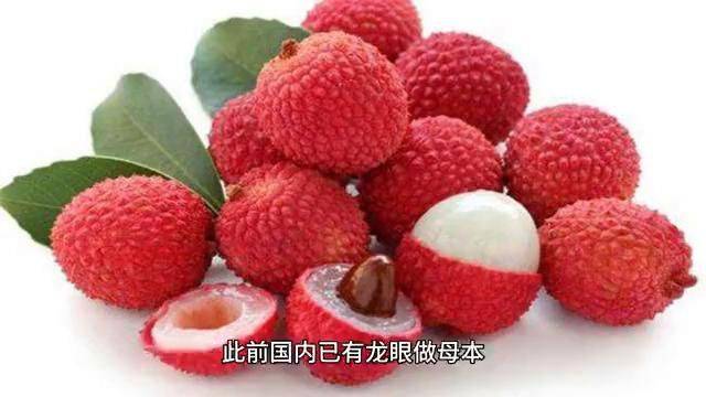 水果新品种种植