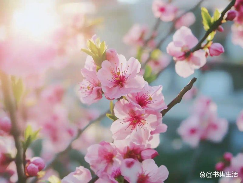 已婚女性示爱方法