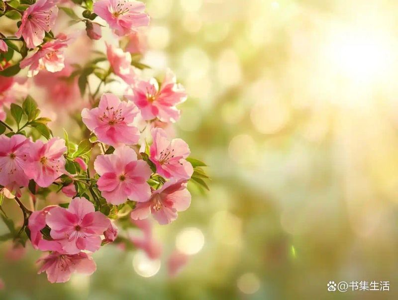 已婚女性示爱方法