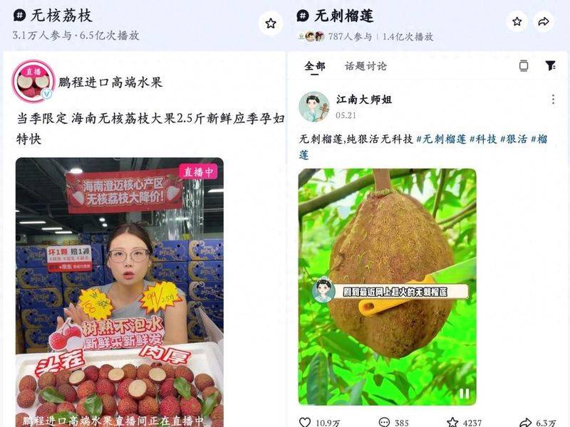 天眼关注|无核荔枝、无刺榴莲热度暴涨:是科技还是狠活?