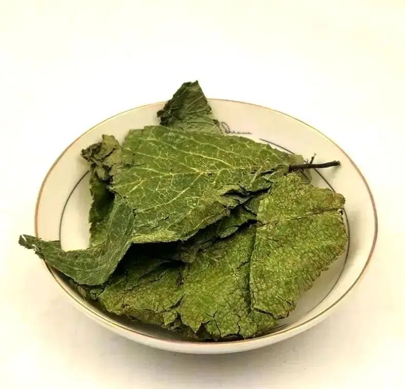 杜仲种植技术