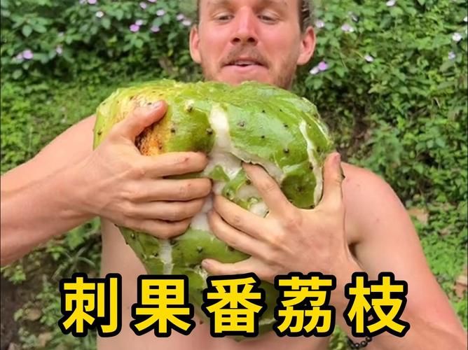 番荔枝种植技术书籍