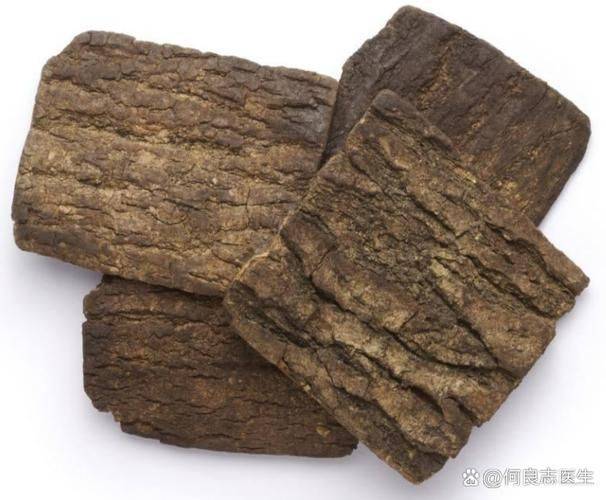 杜仲种植技术