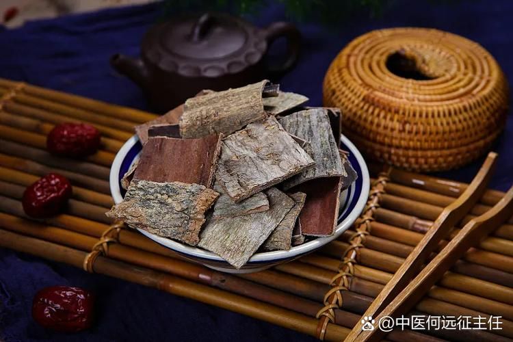 杜仲种植技术