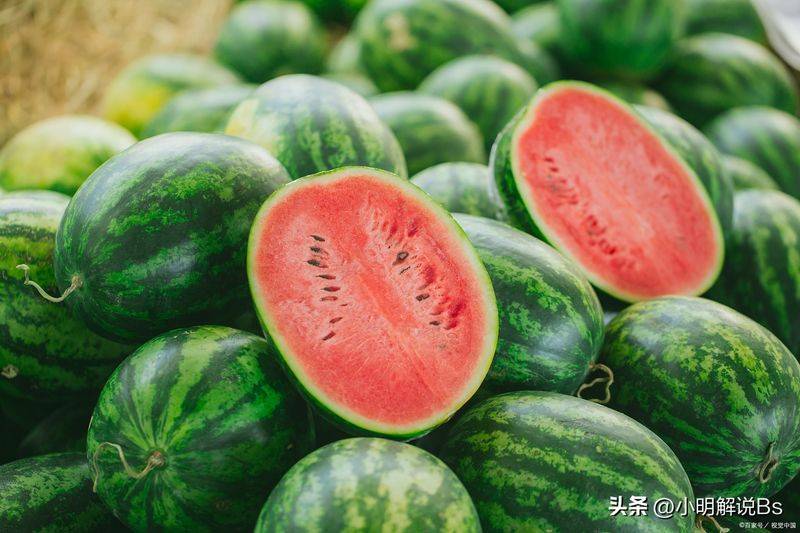 秋西瓜种植技术