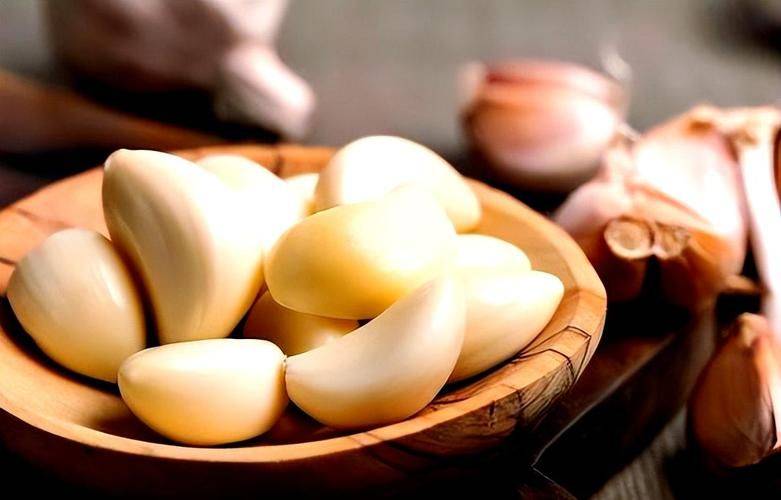 Garlic farming techniques and management