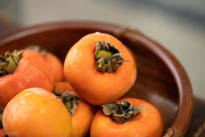 Tomato tree cultivation techniques