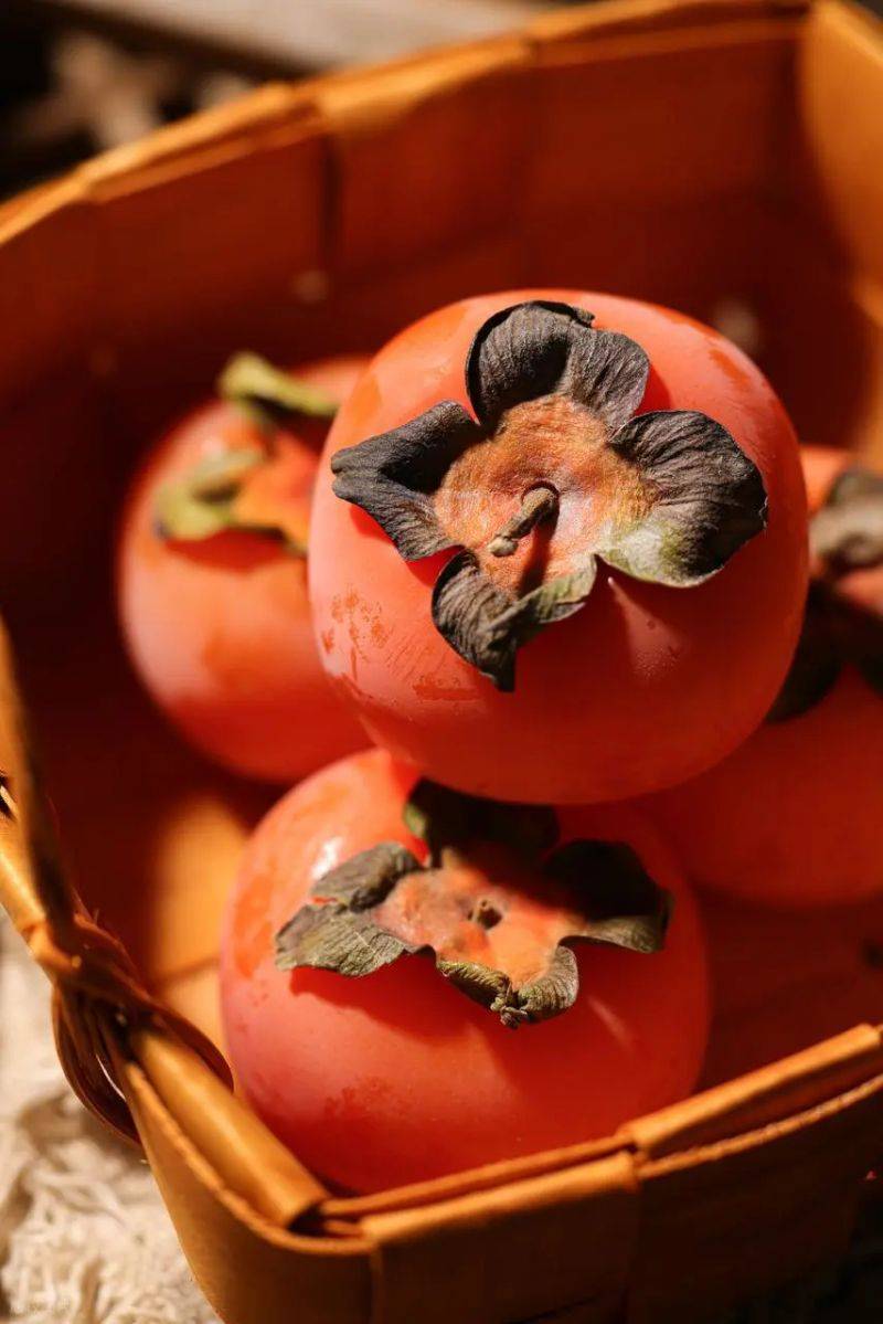 Tomato tree cultivation techniques