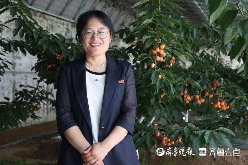 水果新品种种植