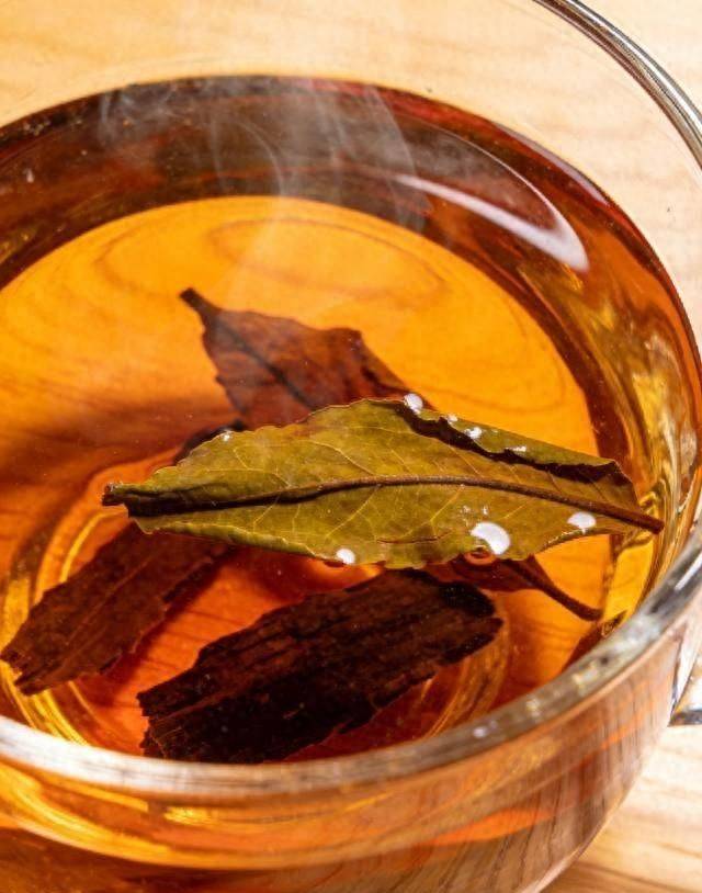 杜仲种子怎么种植技术