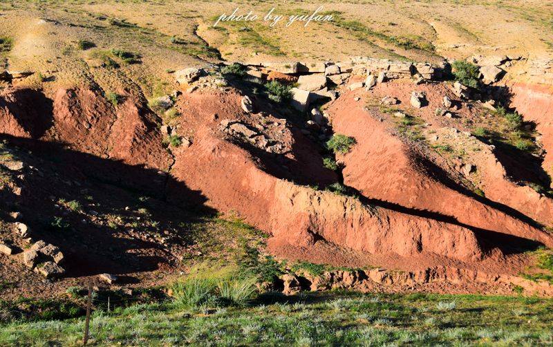 Characteristics and causes of desertification in the grasslands of huronbel