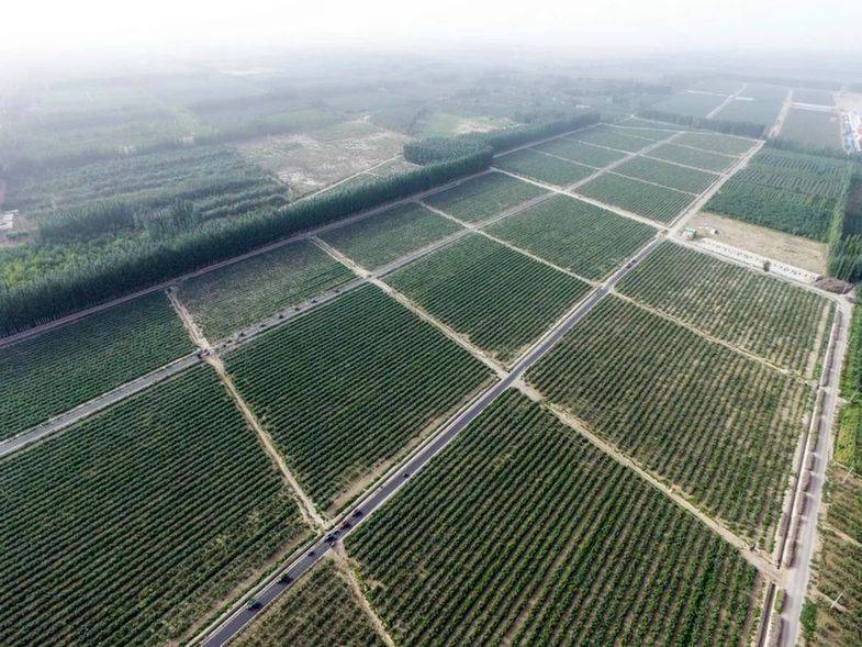 Characteristics and causes of desertification in the grasslands of huronbel