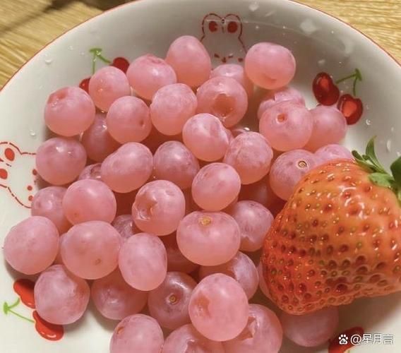 蓝莓种子的种植方法