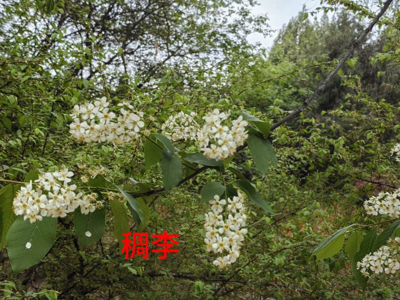 花草养护知识