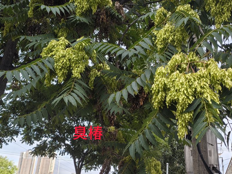 花草养护知识