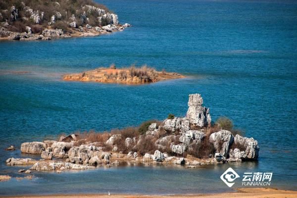 西峡恐龙园官网春节门票多少钱