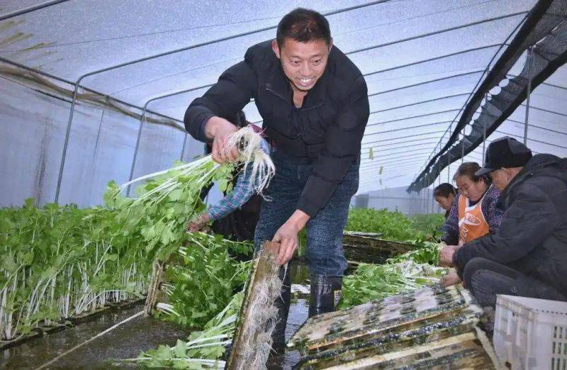 Pictures of techniques for water growing vegetables