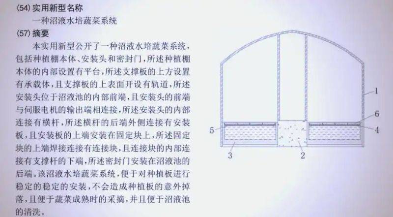 Pictures of techniques for water growing vegetables