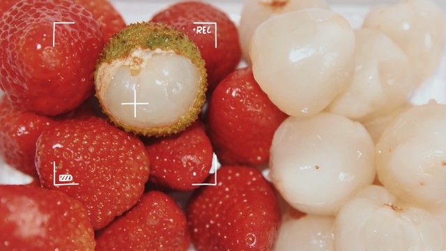 水果新品种种植