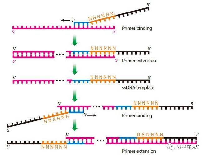Pcr ' s rationale for scaling up