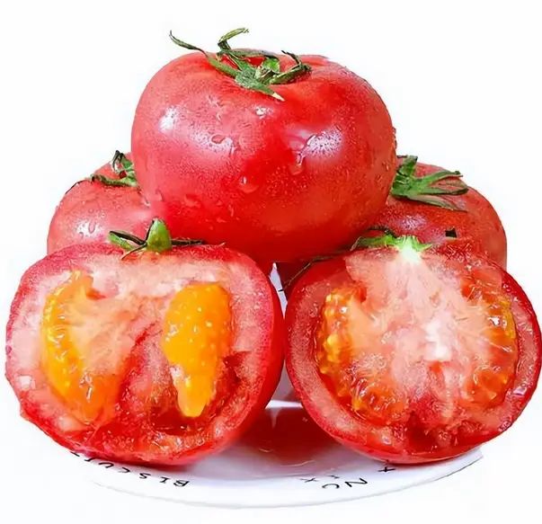 西红柿盆栽种植方法