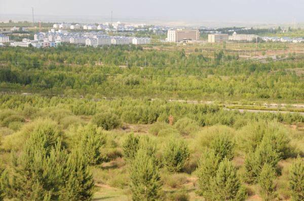 Characteristics and causes of desertification in the grasslands of huronbel