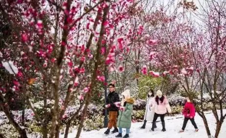 西峡恐龙园官网春节门票多少钱
