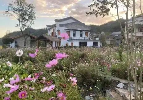 西峡恐龙园官网春节门票多少钱