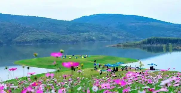 西峡恐龙园官网春节门票多少钱