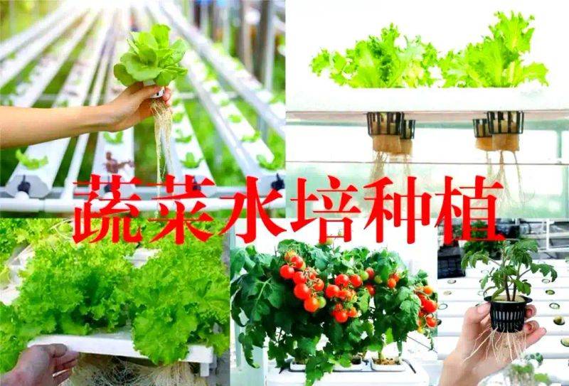 Pictures of techniques for water growing vegetables
