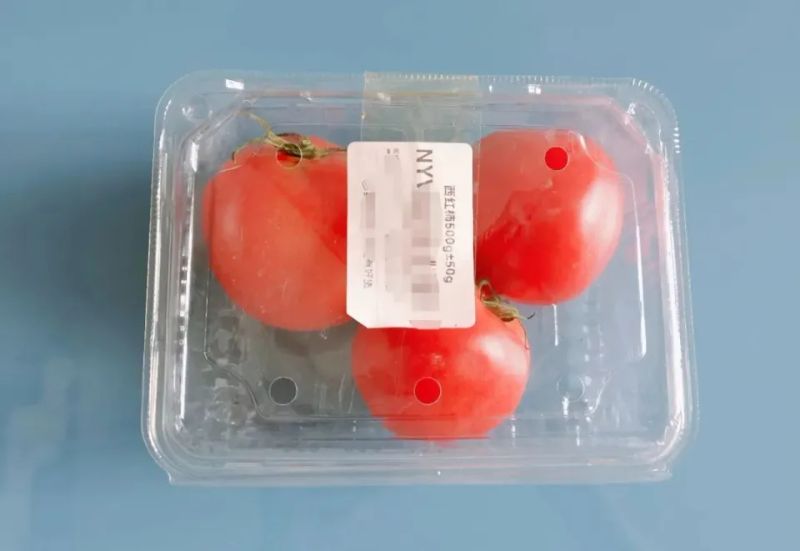 西红柿盆栽种植方法