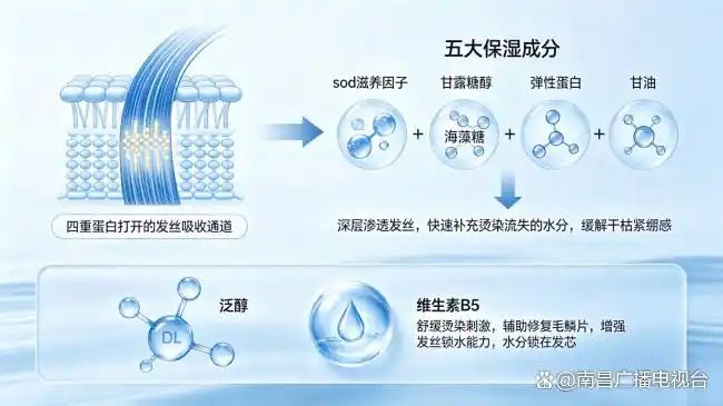 施华蔻羊绒脂发膜多少钱