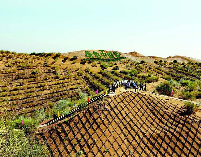 Characteristics and causes of desertification in the grasslands of huronbel