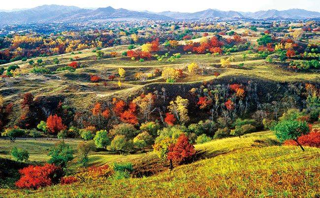 Characteristics and causes of desertification in the grasslands of huronbel