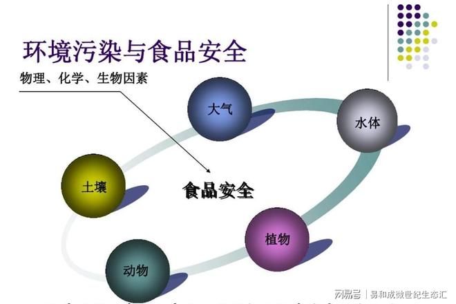 富硒水稻种植技术