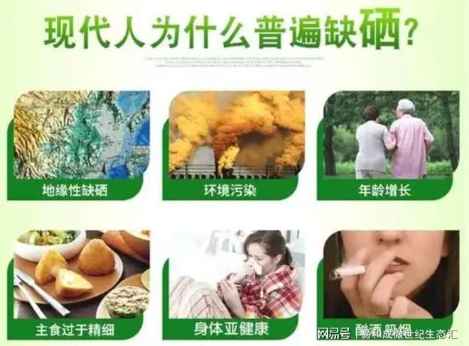 富硒水稻种植技术
