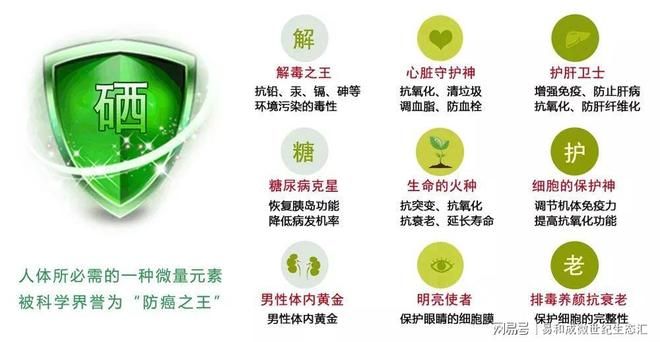 富硒水稻种植技术