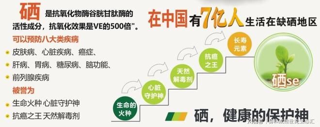 富硒水稻种植技术