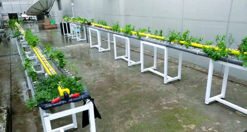 Pictures of techniques for water growing vegetables