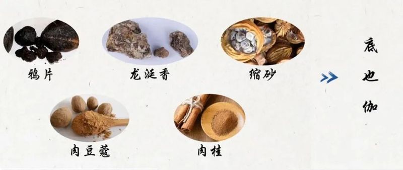 罂粟花种植技术及要点