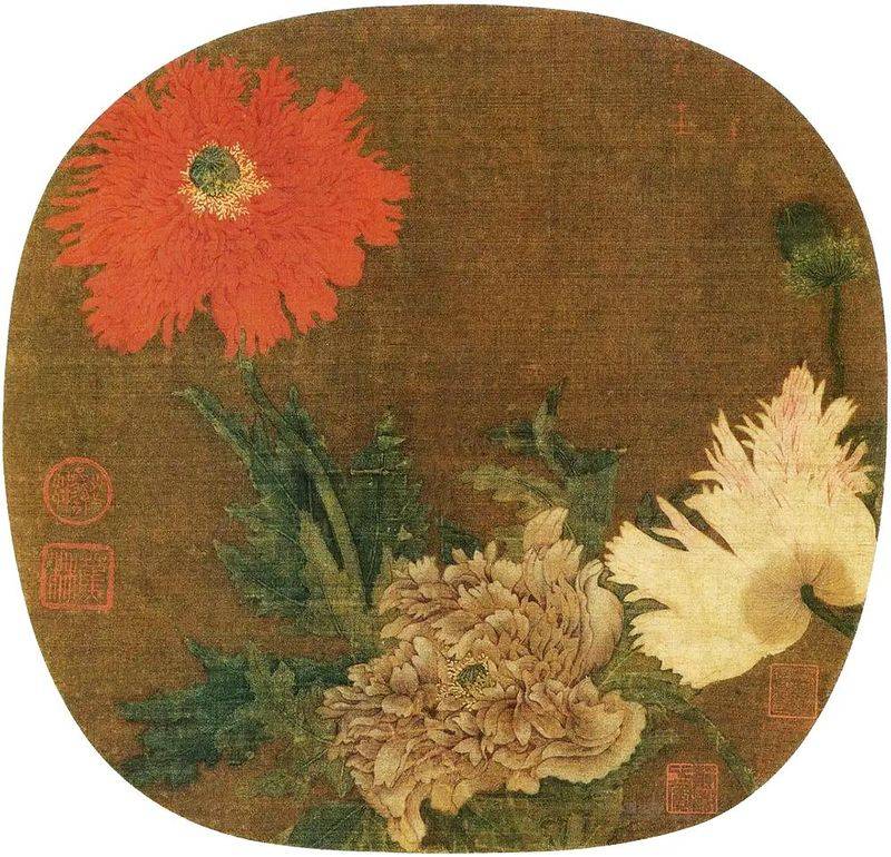 罂粟花种植技术及要点