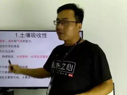 大棚番茄的种植技术