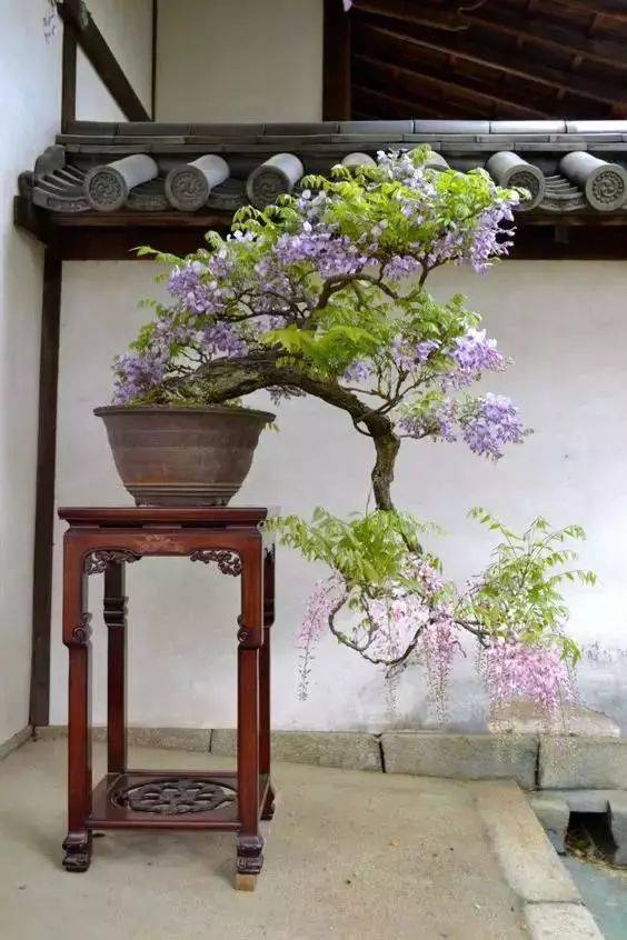 Plantation plantation technology